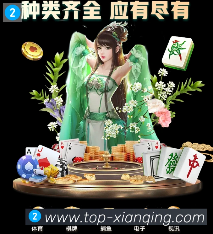 互动解说服务